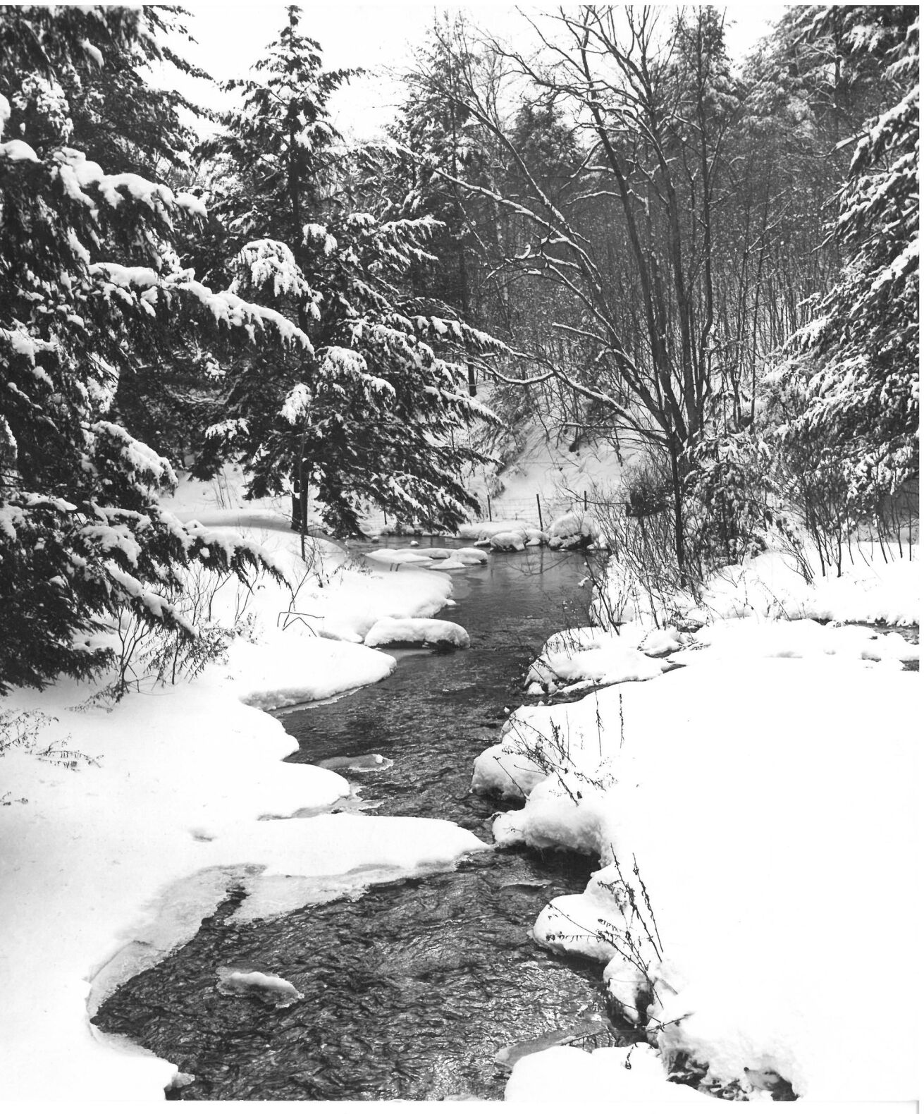 January 1968
